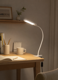 LED Desk Lamp